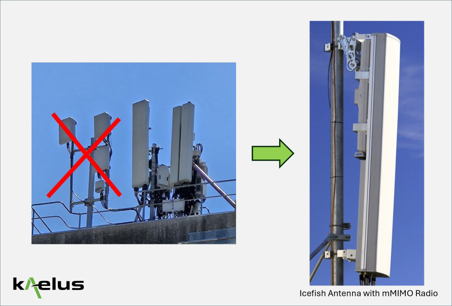 Icefish-antenna-illustration-900.png Icefish-antenna-illustration-900.png